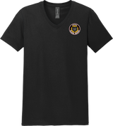 Dupage Black Bears Softstyle V-Neck T-Shirt