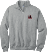 NJ Valkyries NuBlend 1/4-Zip Cadet Collar Sweatshirt