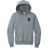 Lansing Spartans Youth Sponge Fleece Pullover Hoodie