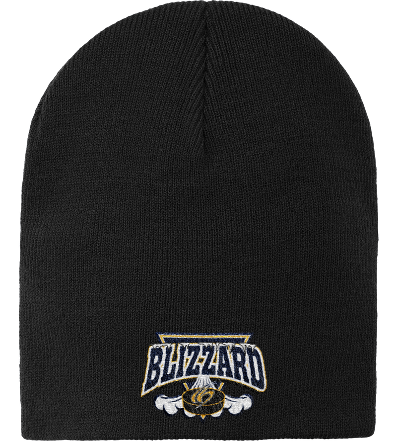 Blizzard Knit Skull Cap