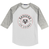Scary Badgers Youth Colorblock Raglan Jersey